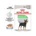 ROYAL CANIN Digestive Care for dogs of all breeds 85 g x 12 pieces - Buy Online on GoSupps.com