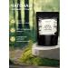 Sibereco Chaga tea siberko mint tea black