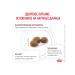 ROYAL CANIN Dry gastrointestinal hairball food for cats 0.35 kg 4 pcs - Buy Online on GoSupps.com
