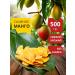 H&N ECO Dried natural mango without sugar 500 grams