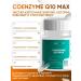 NOOLECT Coenzyme Q10 Max - 60 capsules of 480 mg - Buy Online on GoSupps.com