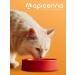 Apicenna Stop cystitis of bio for cats for the urinary system 30ml - Buy Online on GoSupps.com