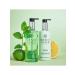 Grace Cole Liquid soap with a handle for hand grapefruit lime and mint 300ml - Buy Online on GoSupps.com