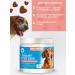 BEST PETS Vitamins for dogs for the urinary system with cranberries - Buy Online on GoSupps.com