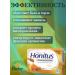 Dabur Launders from sore throat and coughing honey 24 pcs - Buy Online on GoSupps.com