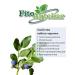 PHYTOAPTHECARIAN Blueberry Escape 500 gr - Buy Online on GoSupps.com