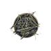 Echinacea Grass dried 100 g drevomed - Buy Online on GoSupps.com