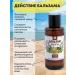 kingdom of aromas Zagar oil in the sun is natural - Buy Online on GoSupps.com