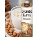 Alpro Plant milk Barista almonds 1 l 2 pcs - Buy Online on GoSupps.com