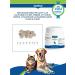 Canina pharma GmbH Calcium vitamins containing Canhydrox GAG 60 tab - Buy Online on GoSupps.com