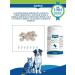 Canina pharma GmbH Chondroprotector for the joints of dogs Arthro-Tabletten 60 Tab - Buy Online on GoSupps.com