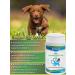Canina pharma GmbH Vitamins for dogs and puppies for immunity V25 (60Tab.) - Buy Online on GoSupps.com