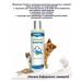 Canina pharma GmbH Shampoo for dogs cats Hafermilch-shampoo250 ml Germany - Buy Online on GoSupps.com