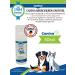 Canina pharma GmbH Dog teeth gel grooming and care of Mikrosilberzahngel 50ml - Buy Online on GoSupps.com