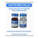 Anti -aging serum to moisturize the face Lacto Exo Colla