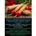 Vitamer LLC Ginseng for vigor 2 - Buy Online on GoSupps.com