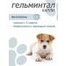 Gelmintal Drops from worms and fleas for dogs more than 10 kg - Buy Online on GoSupps.com