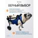 Wheelchair for dogs on the hind legs - Buy Online on GoSupps.com
