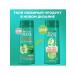 Garnier Fructis shampoo growth in full force 400 ml - Buy Online on GoSupps.com