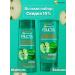 Garnier Fructis shampoo growth in full force 400 ml - Buy Online on GoSupps.com