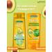 Garnier Fructis shampoo triple recovery 400 ml - Buy Online on GoSupps.com