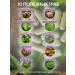Dietary supplements of Siberia Venotonik for veins from varicose veins 120 capsules - Buy Online on GoSupps.com