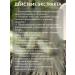 Dietary supplements of Siberia Venotonik for veins from varicose veins 120 capsules - Buy Online on GoSupps.com