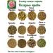 Camellia Tea Company Content tea by Bai Yui Lyan 2pcs - Buy Online on GoSupps.com