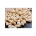 Vitamin snack Cedar nuts peeled 100 grams products healthy food - Buy Online on GoSupps.com
