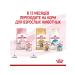 ROYAL CANIN Wet feed for kittens Kitten 85 gr - Buy Online on GoSupps.com