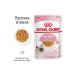 ROYAL CANIN Wet feed for kittens Kitten 85 gr - Buy Online on GoSupps.com