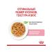 ROYAL CANIN Wet feed for kittens Kitten 85 gr - Buy Online on GoSupps.com