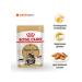 ROYAL CANIN Wet food for Maine Coons 85 gr