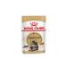 ROYAL CANIN Wet food for Maine Coons 85 gr - Buy Online on GoSupps.com