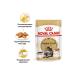 ROYAL CANIN Wet food for Maine Coons 85 gr - Buy Online on GoSupps.com