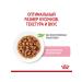 ROYAL CANIN Kitten Wet feed for kittens 1 spider 85 gr - Buy Online on GoSupps.com