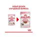 ROYAL CANIN Kitten Wet feed for kittens 1 spider 85 gr - Buy Online on GoSupps.com