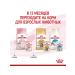 ROYAL CANIN Wet food for kittens Kitten 85 gr - Buy Online on GoSupps.com