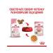 ROYAL CANIN Wet food for kittens Kitten 85 gr - Buy Online on GoSupps.com