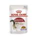 ROYAL CANIN Spides for adult cats Instinctive 85 grams - Buy Online on GoSupps.com