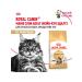 ROYAL CANIN Dry food for cats Maine Coon Adult 400g