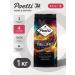 Poetti NEURO LIMITED Edition Coffee
