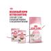 ROYAL CANIN Dry food for kittens up to 12 months 300 g - Buy Online on GoSupps.com