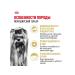 ROYAL CANIN Dry food for the Yorkshire Terrier 500 grams - Buy Online on GoSupps.com