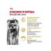 ROYAL CANIN Dry food for dogs Yorkshire Terrier 500 gr - Buy Online on GoSupps.com