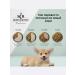 SECRET FOR PETS Dry food for puppies of all breeds chicken and cereals 2 kg - Buy Online on GoSupps.com