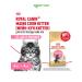 ROYAL CANIN Dry food Main Coon Kitten for kittens Maine-kun 4kg x 2pcs