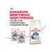 ROYAL CANIN Dry food Long Hair for long -haired cats 2 kg x 2 pcs - Buy Online on GoSupps.com