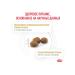 Royal Canin Veterinary Diet Dry feed Urinary S O for cats at MKB 7 kg x 2 pcs - Buy Online on GoSupps.com