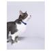 AVZ A collar from fleas and ticks for cats 35 cm - Buy Online on GoSupps.com